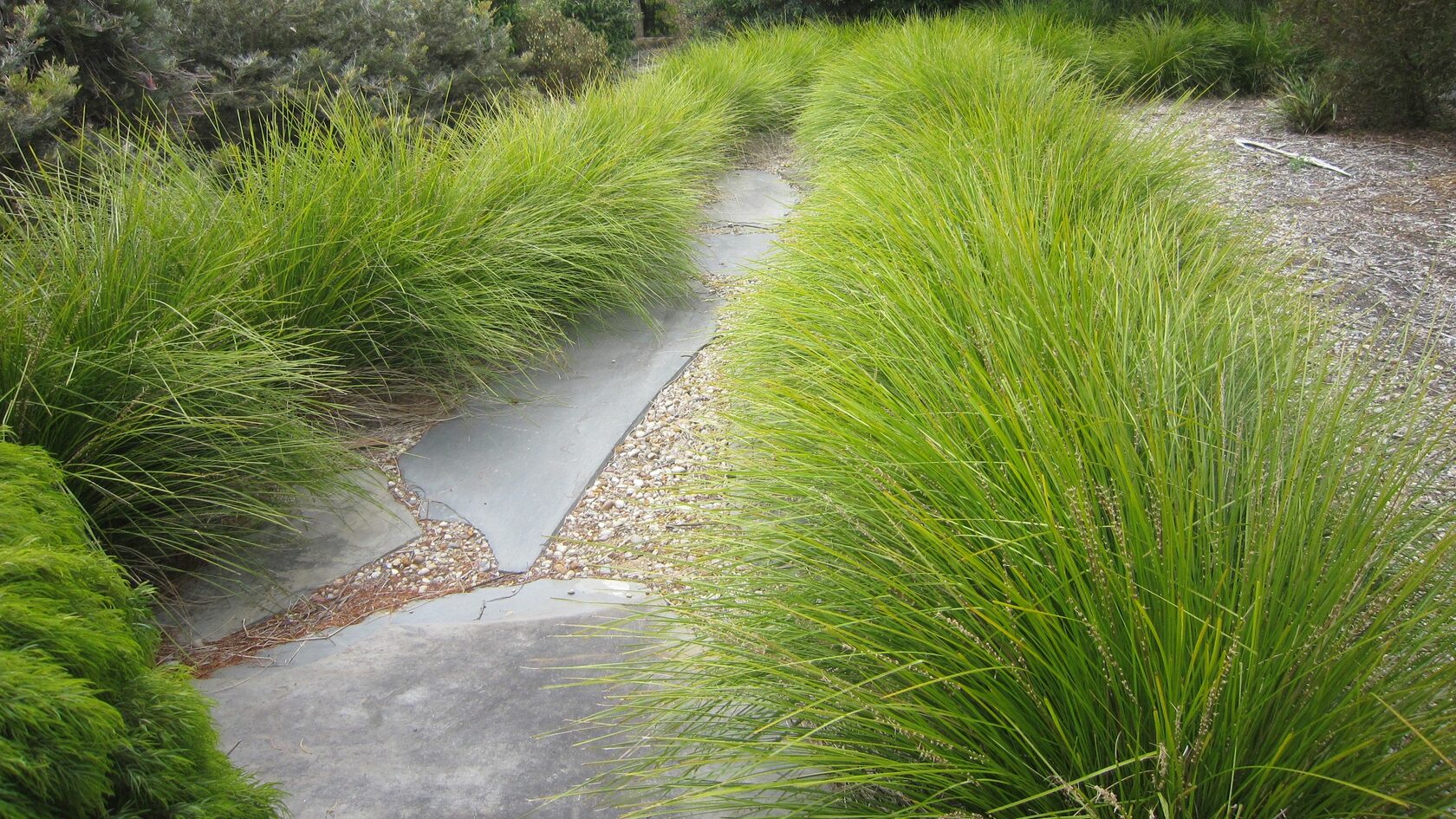 North Warrandyte garden design by BCW