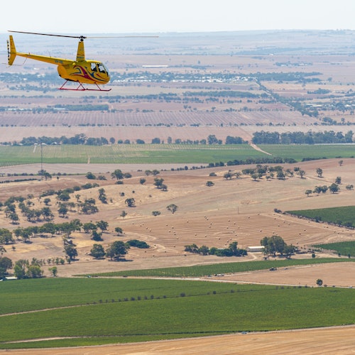נקודות מבט מגוונות