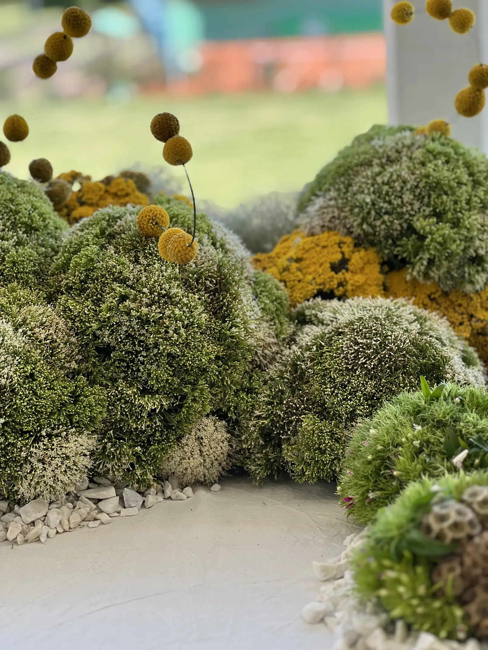 Detalle de arreglos florales con esferas verdes y amarillas que simulan montículos naturales, decorados con flores redondas amarillas suspendidas sobre un lecho de piedras blancas.