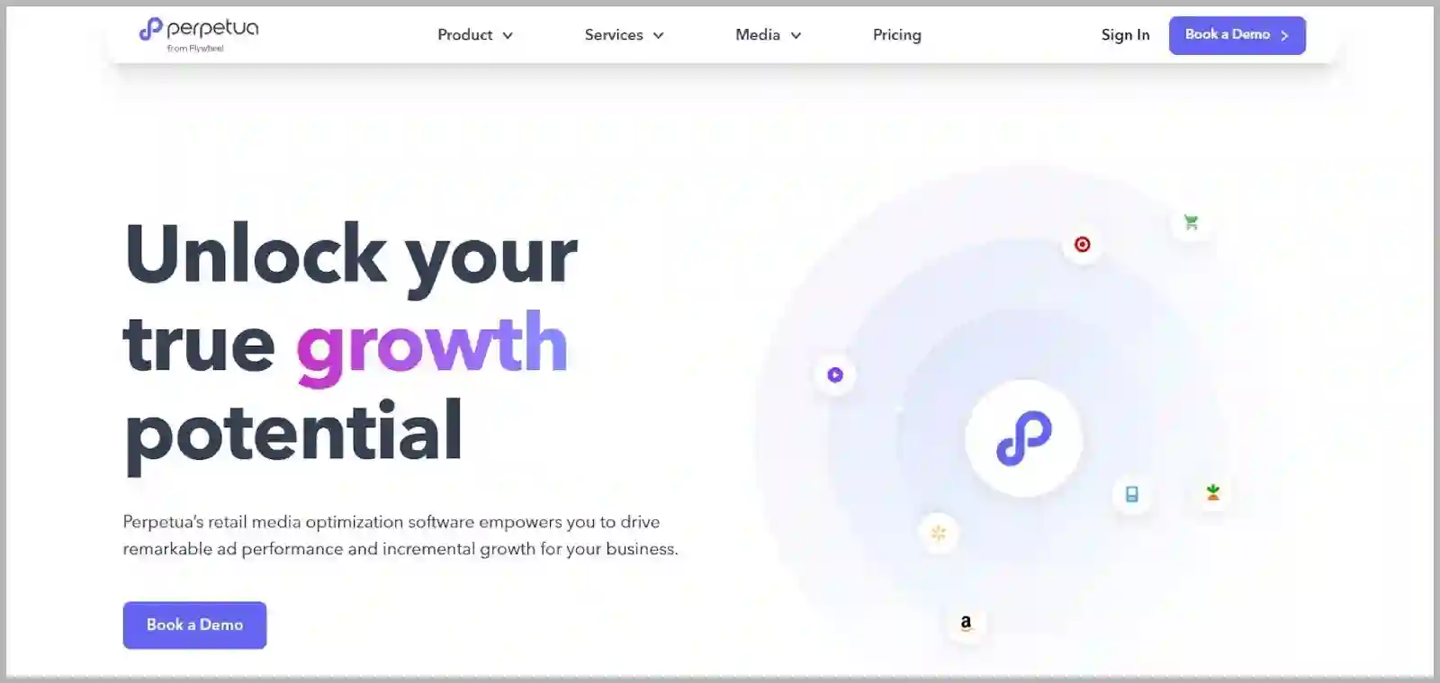 Perpetua Amazon PPC management software review @@ Perpetua Amazon PPC management software review