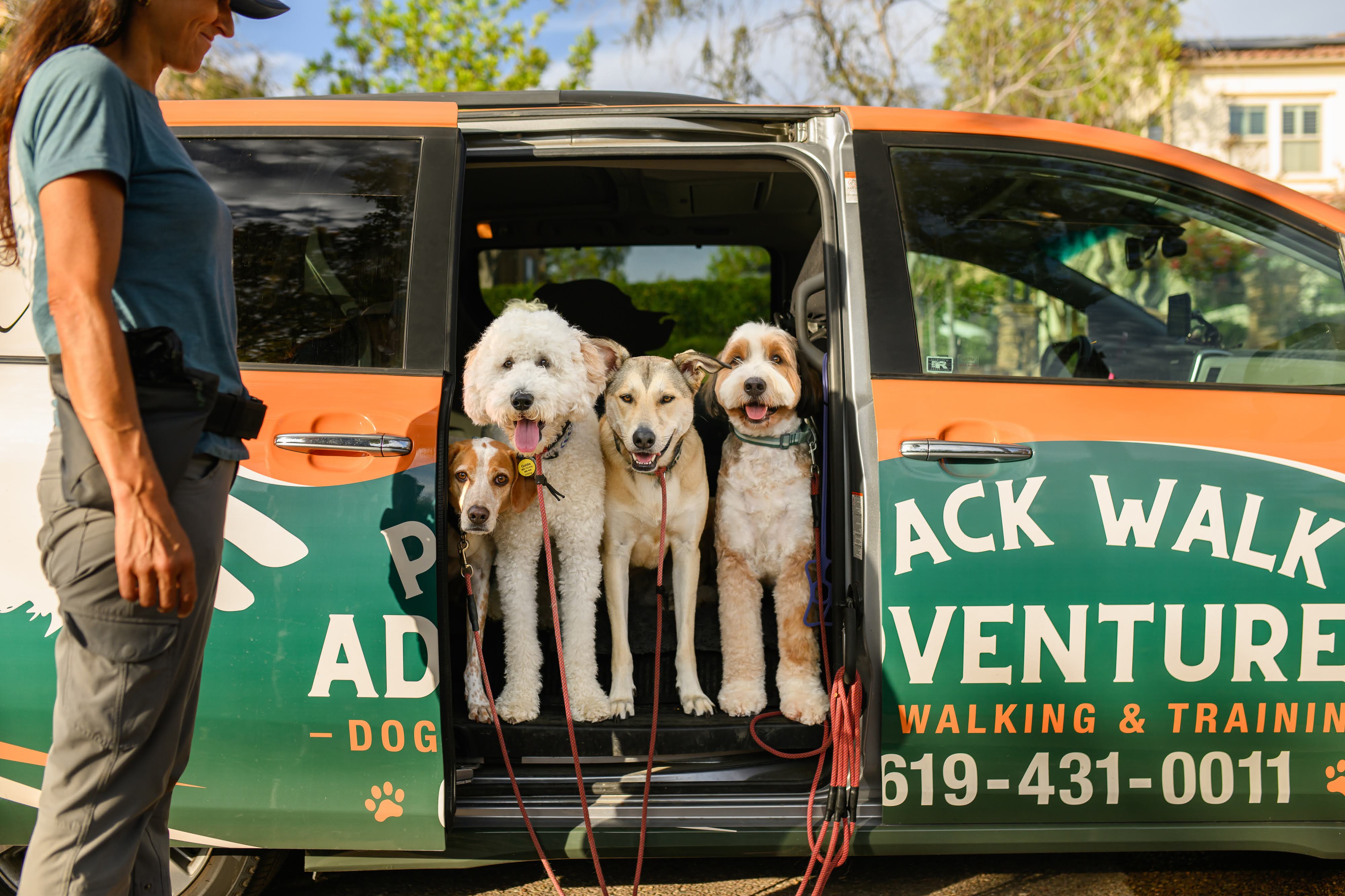 Handler loading dogs into the branded Pack Walk Adventures van