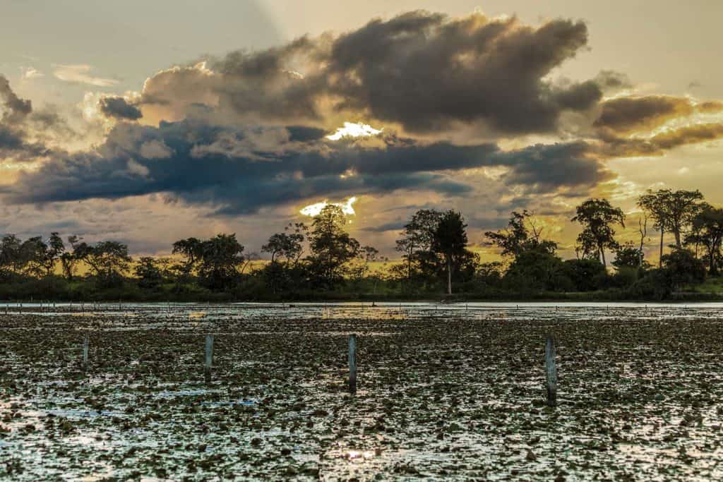 pôr do sol pantanal em bonito