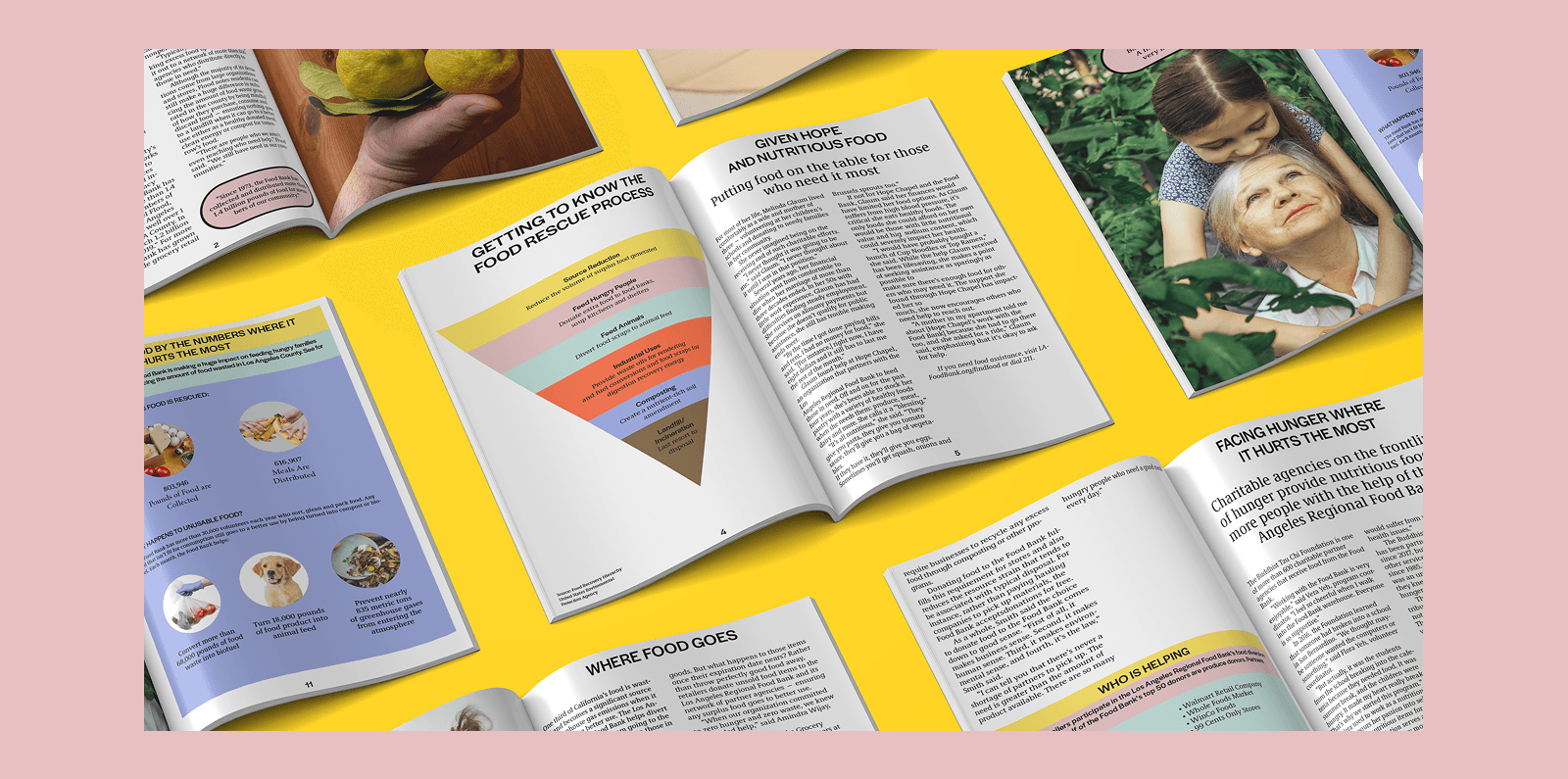 Large Project Gallery Image #4