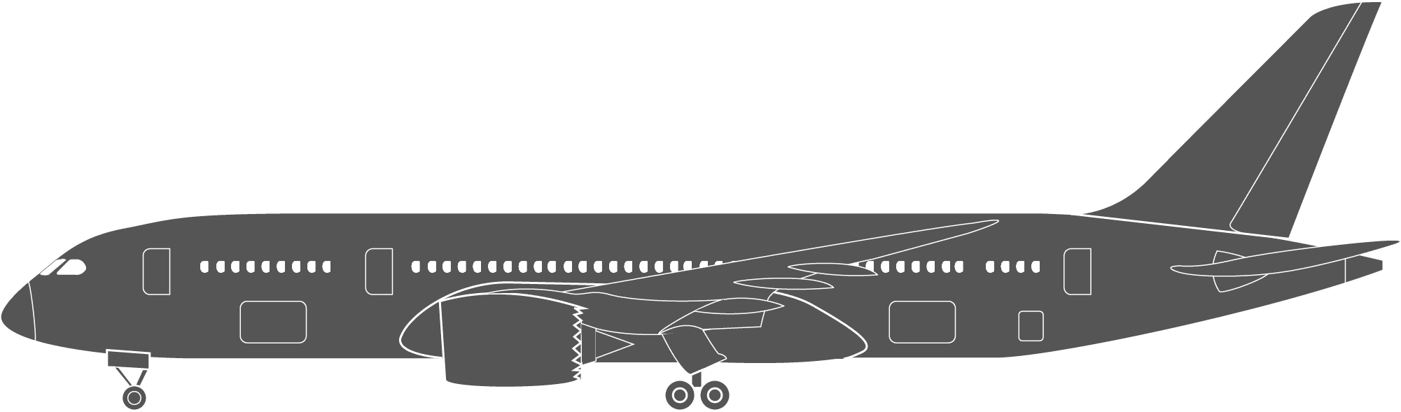 Boeing 787 VIP Dreamliner Icon