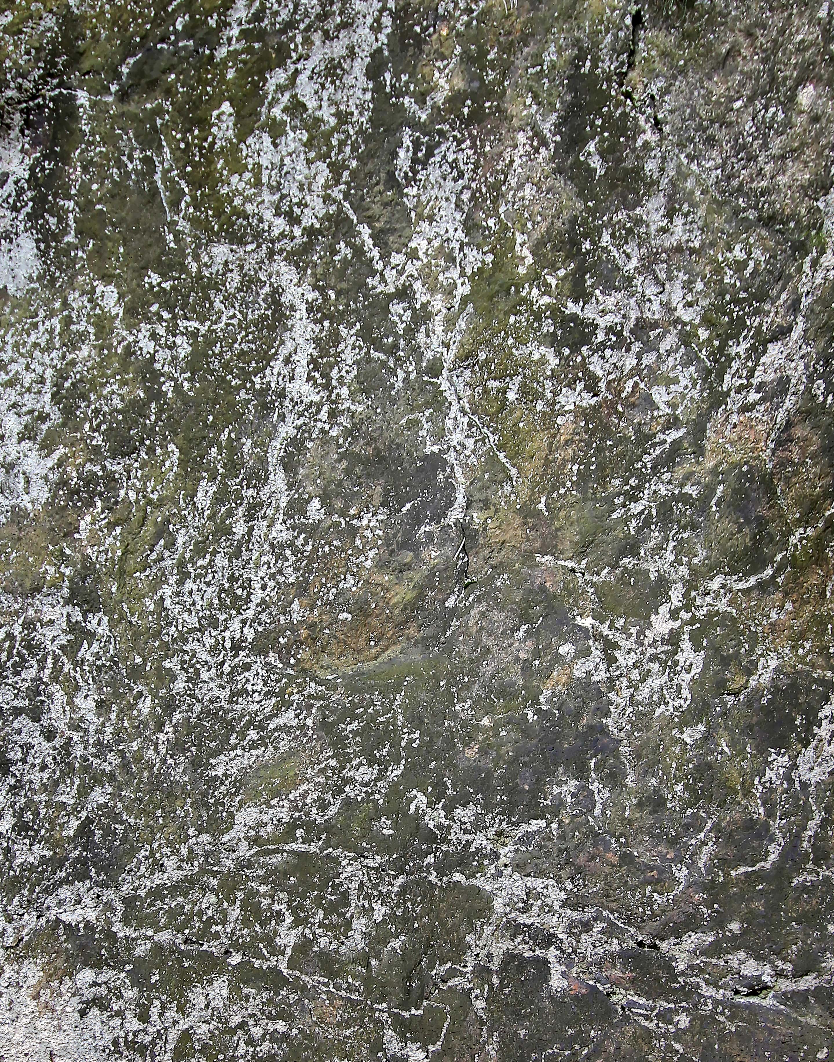 Close-up photograph of a stone surface veined with white lichen over muted green and gray tones. The organic tracery creates a delicate, map-like pattern shaped by gradual weathering and natural growth.