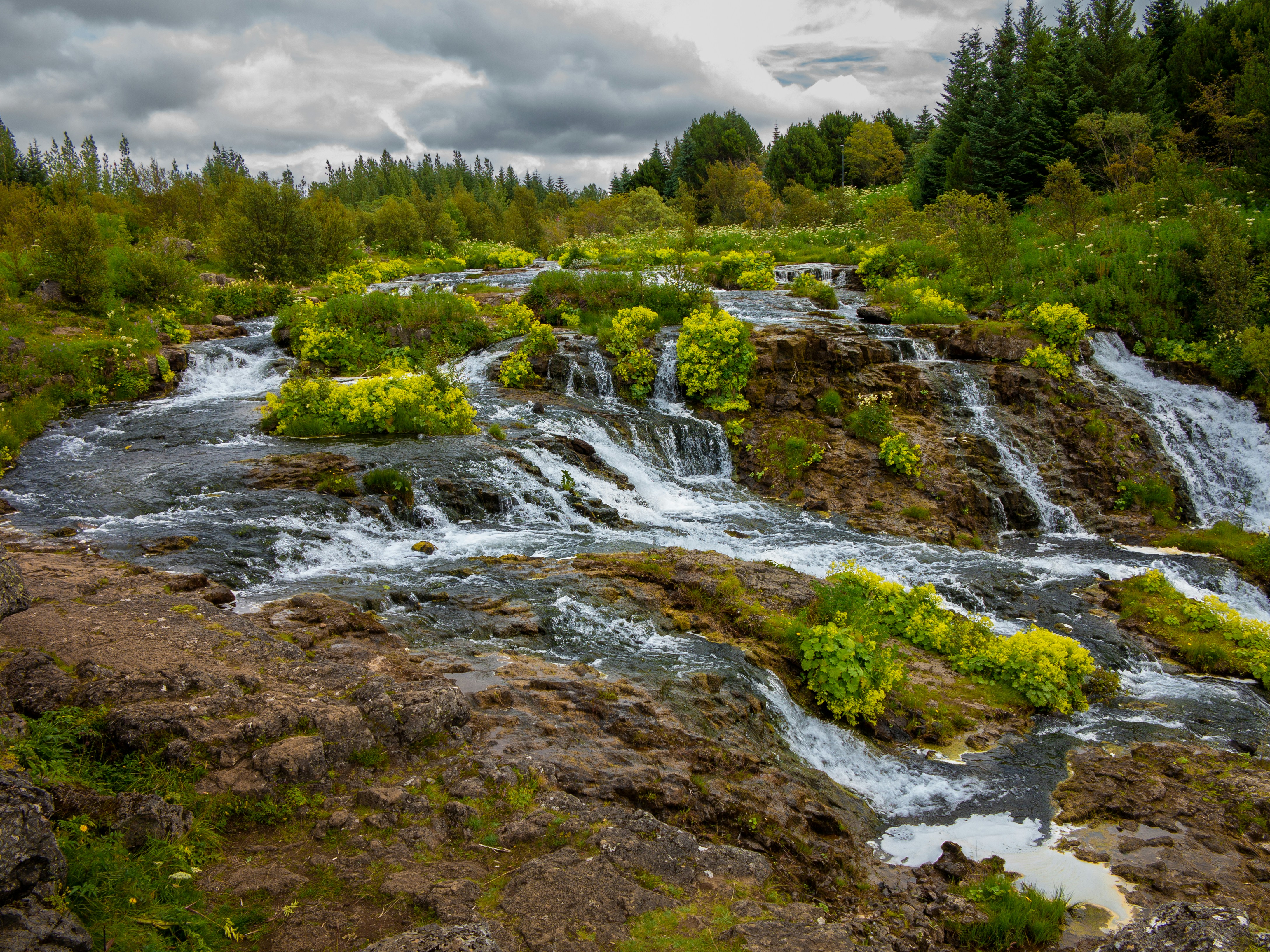 Elliðaá River flowing through Elliðaárdalur in Reykjavík.