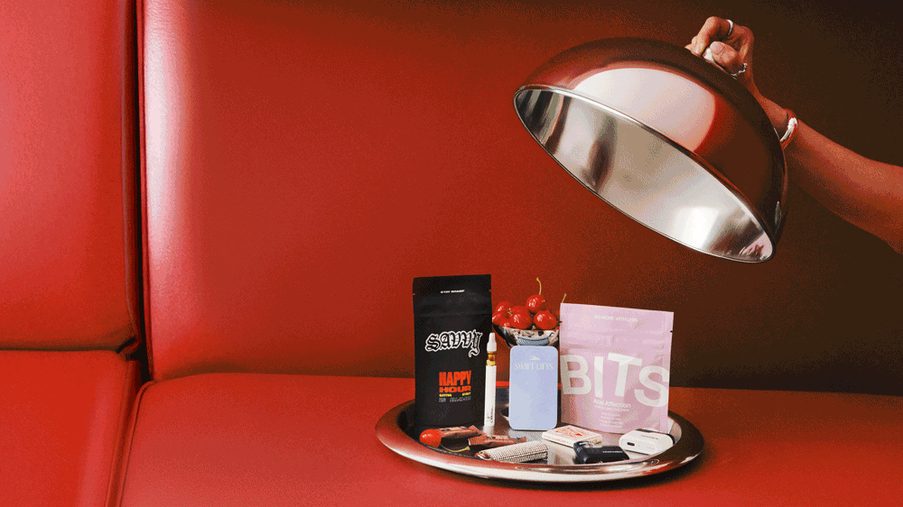 Various dried flowers and plants arranged on a light background.