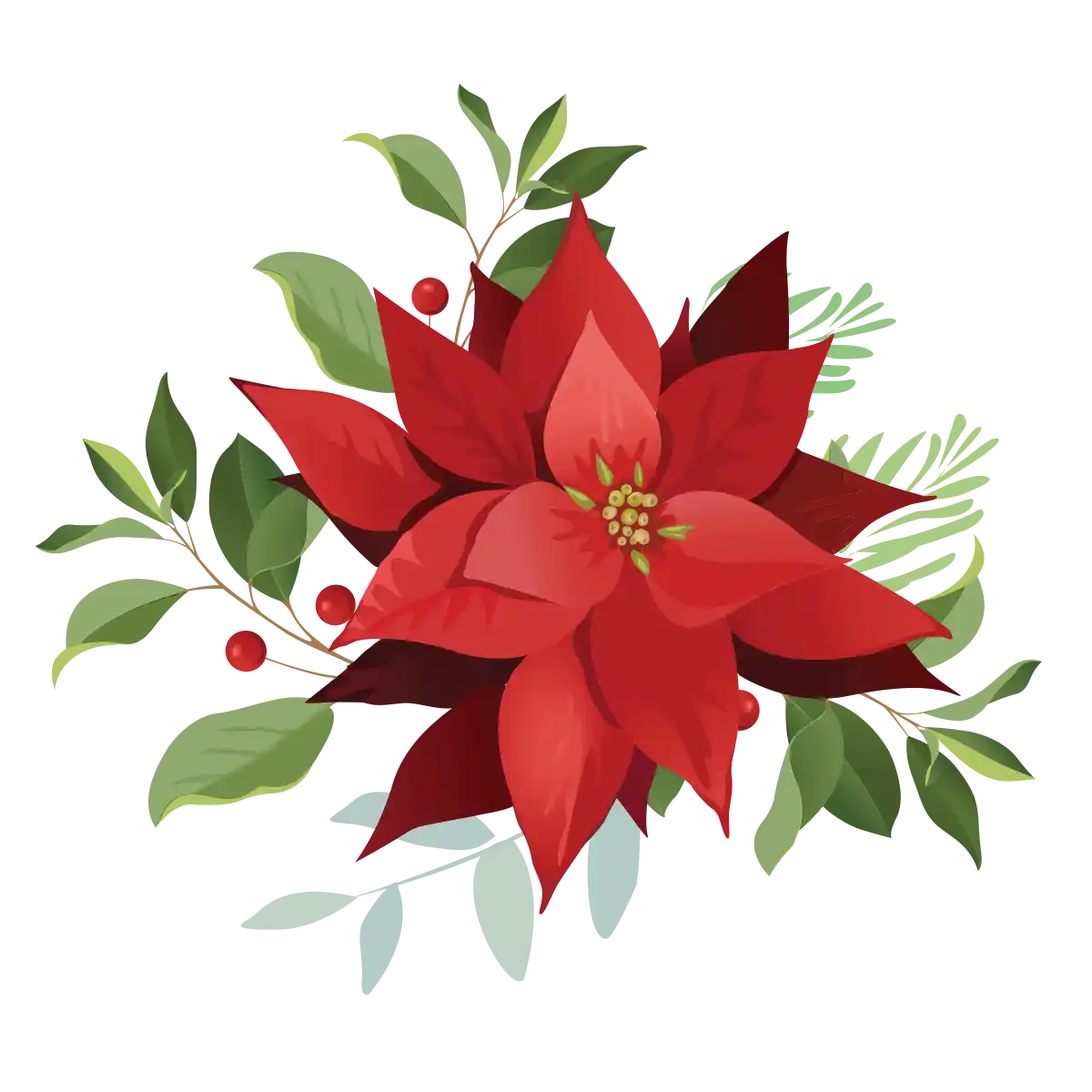Red poinsettia flowers