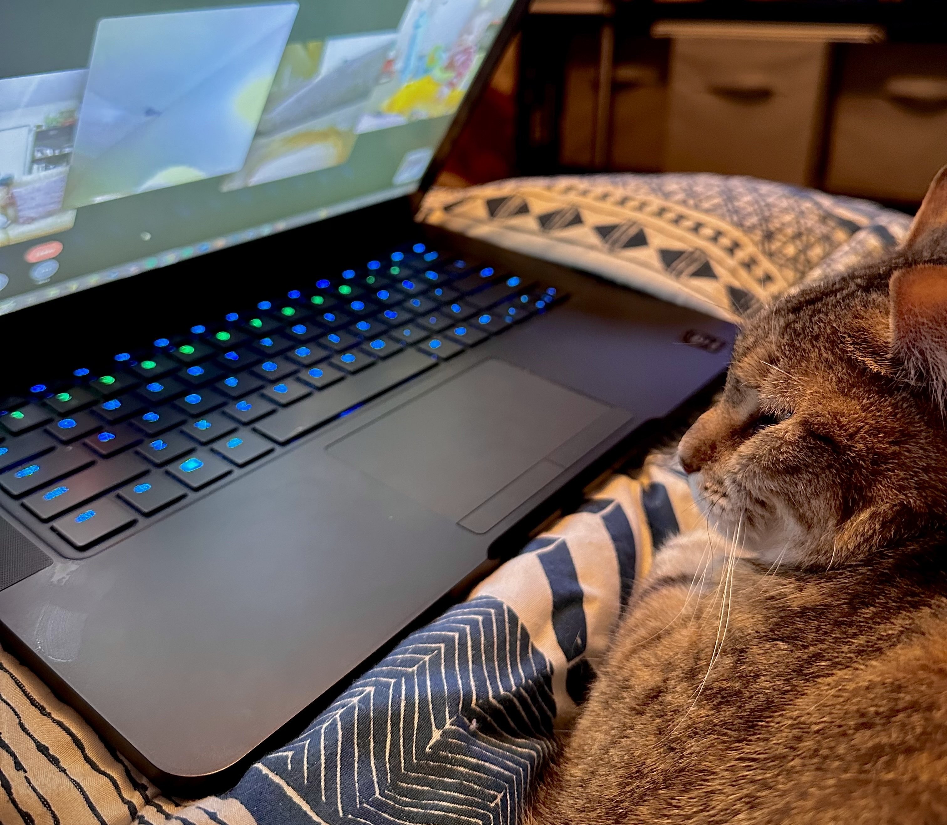 A tabby cat named Lulu lies on a patterned blanket, closely watching a laptop screen. The laptop displays a video call with colorful visuals, while its keyboard glows softly with blue lighting. The cozy scene reflects a relaxed, personal work environment.