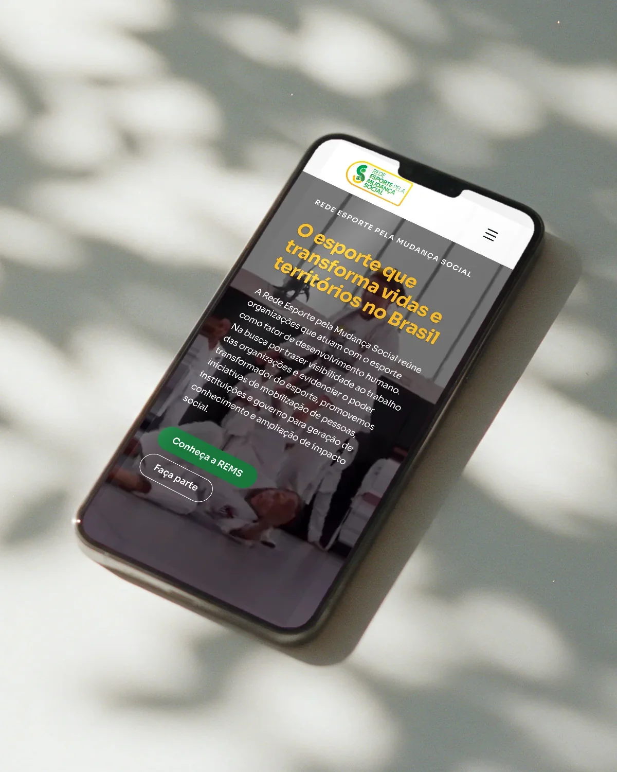 Site da REMS no celular