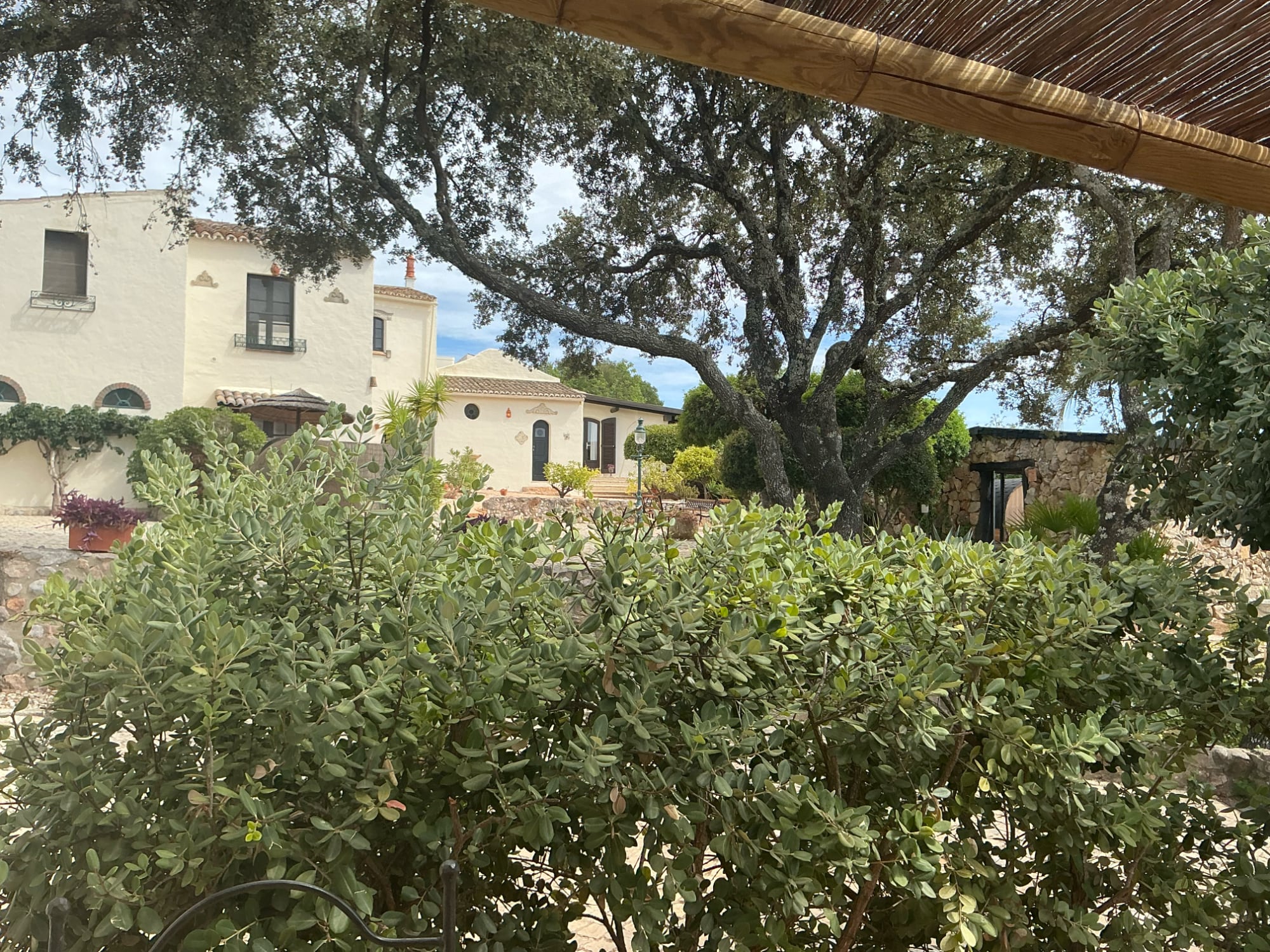Abelha Balcony View