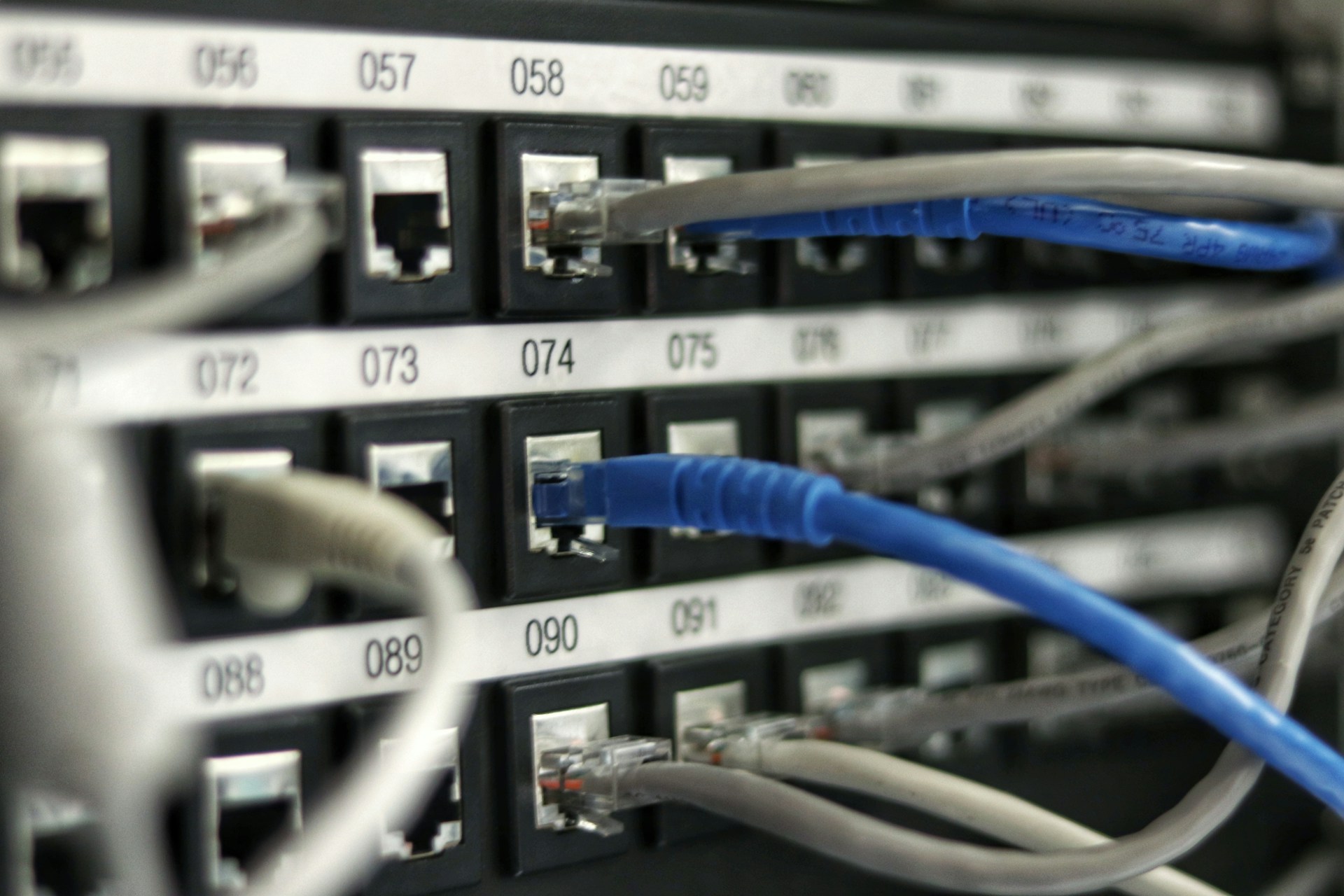 Network cables connected in a rack, representing integrated IT services.