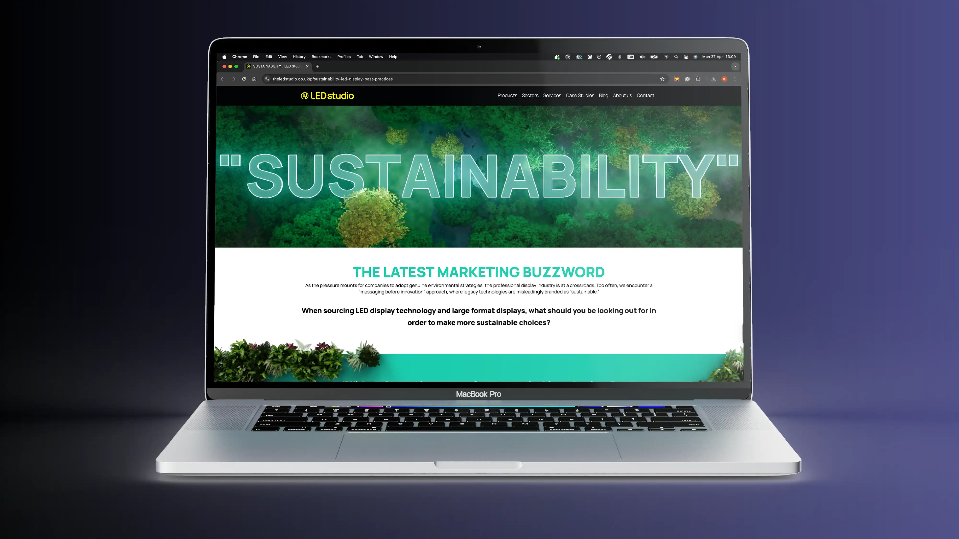 digital campaign design - landing page 