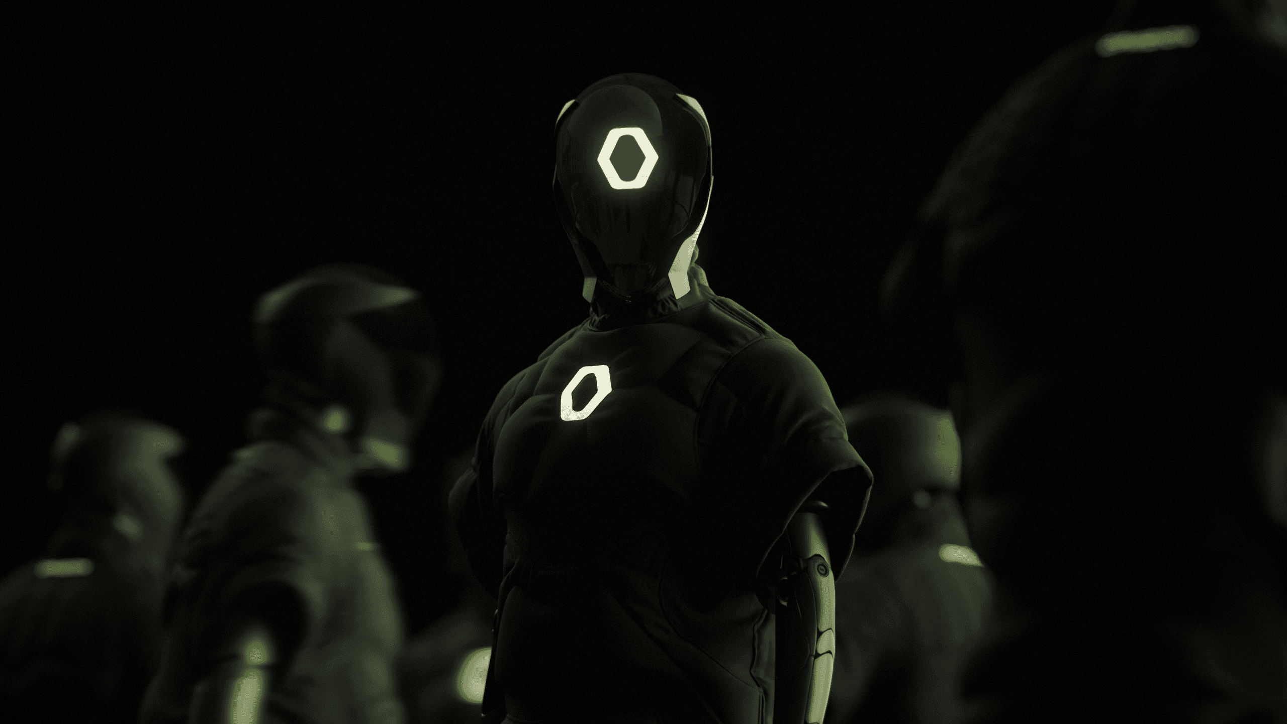 a close up of a bunch of red flowers