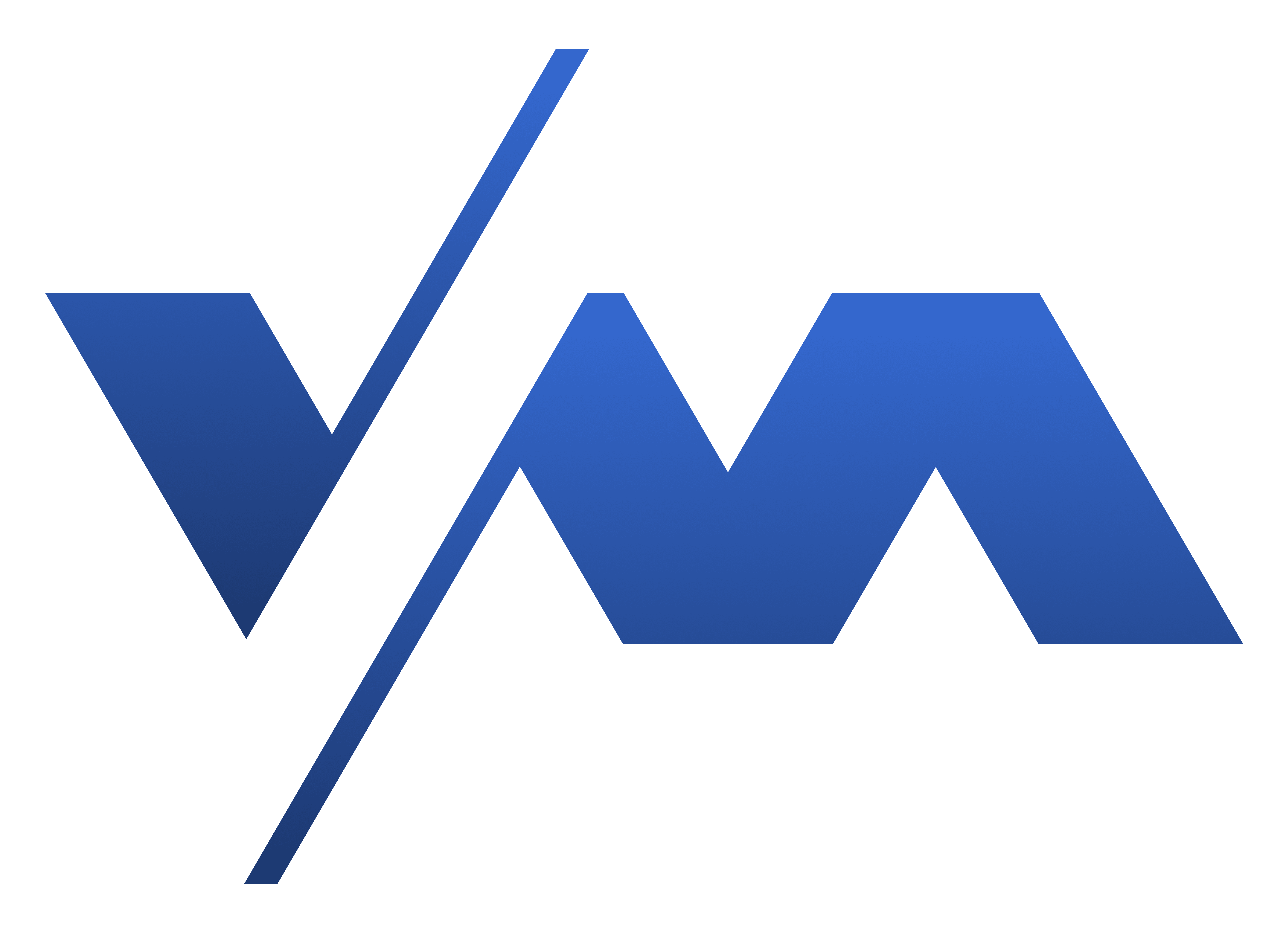 VM Logo