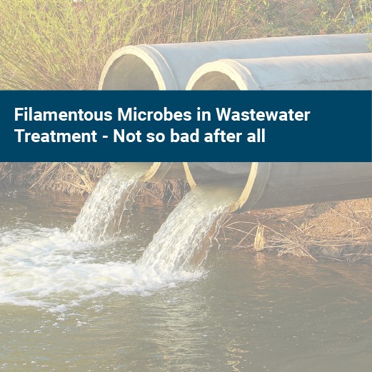 Filamentous Microbes in Wastewater Treatment - Not so bad after all