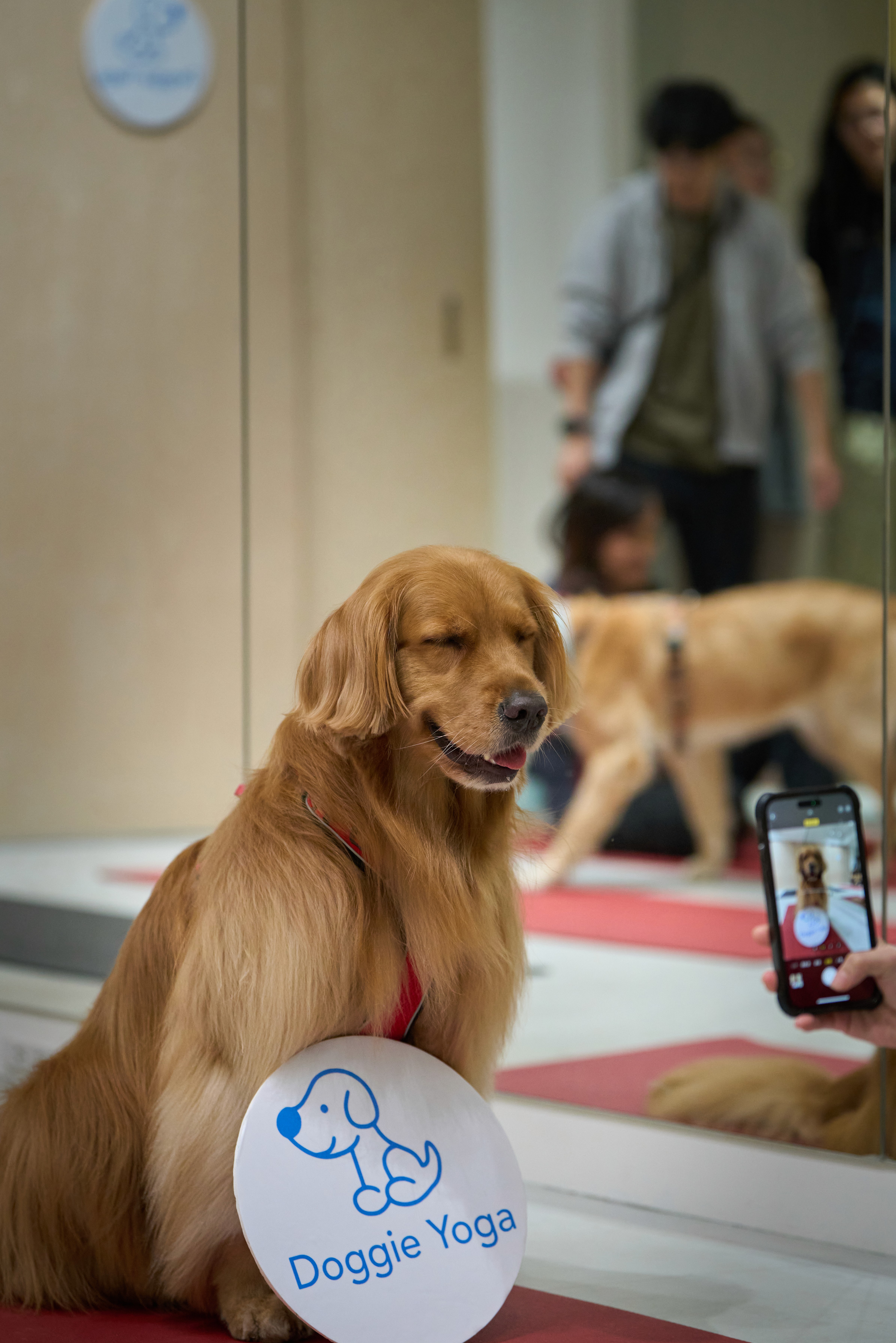close-up image of a guys shirt wearing a lanyard