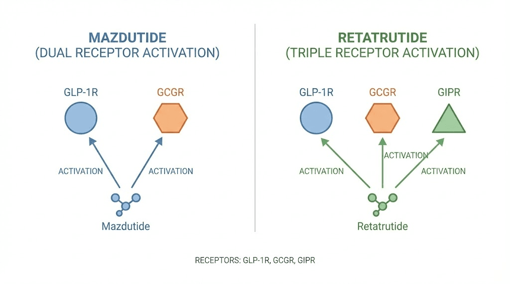 Mazdutide dual receptor versus retatrutide triple receptor mechanism comparison diagram