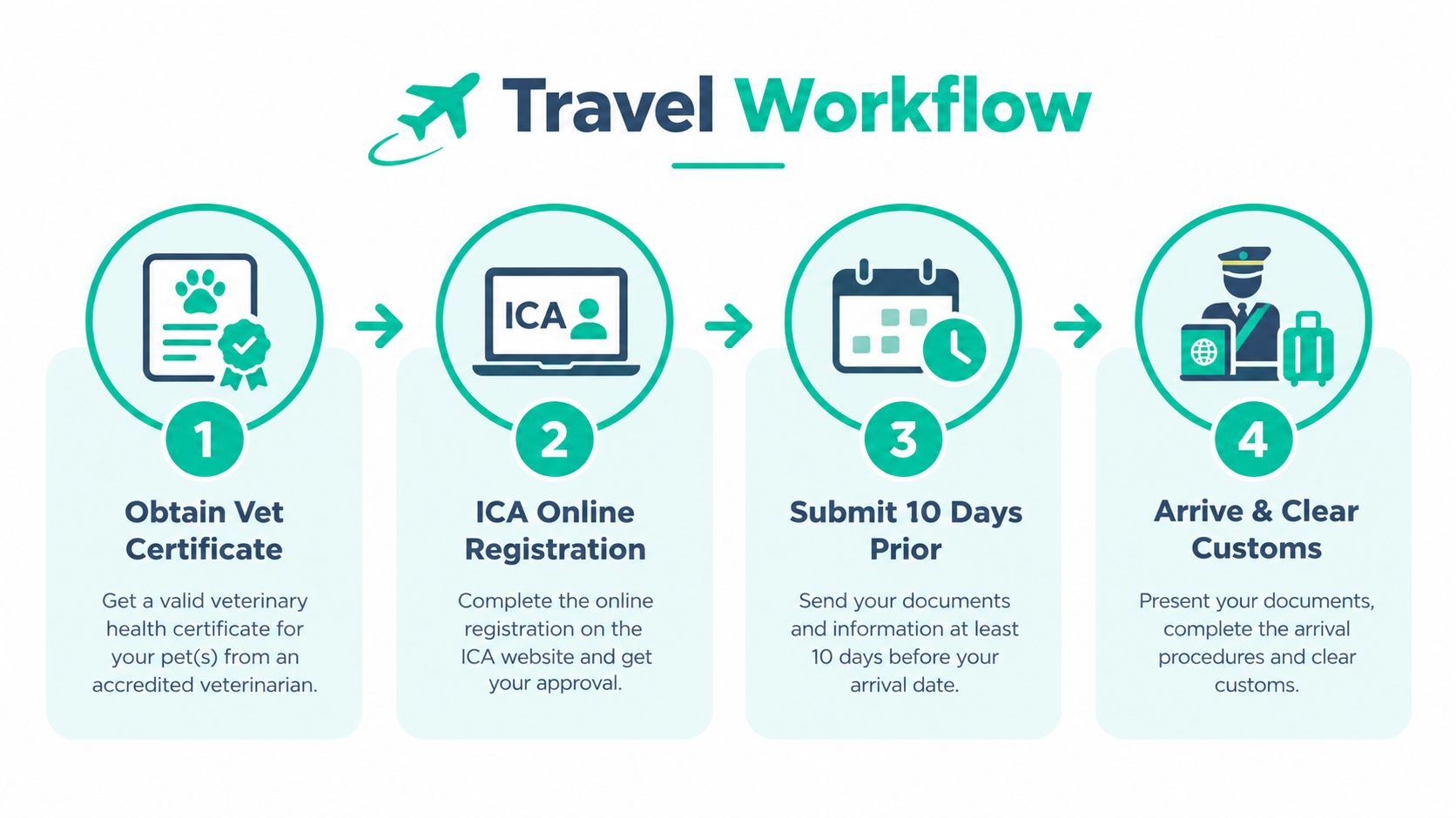 A four-step infographic illustrating the required workflow for traveling with pets, including veterinary certification and customs.
