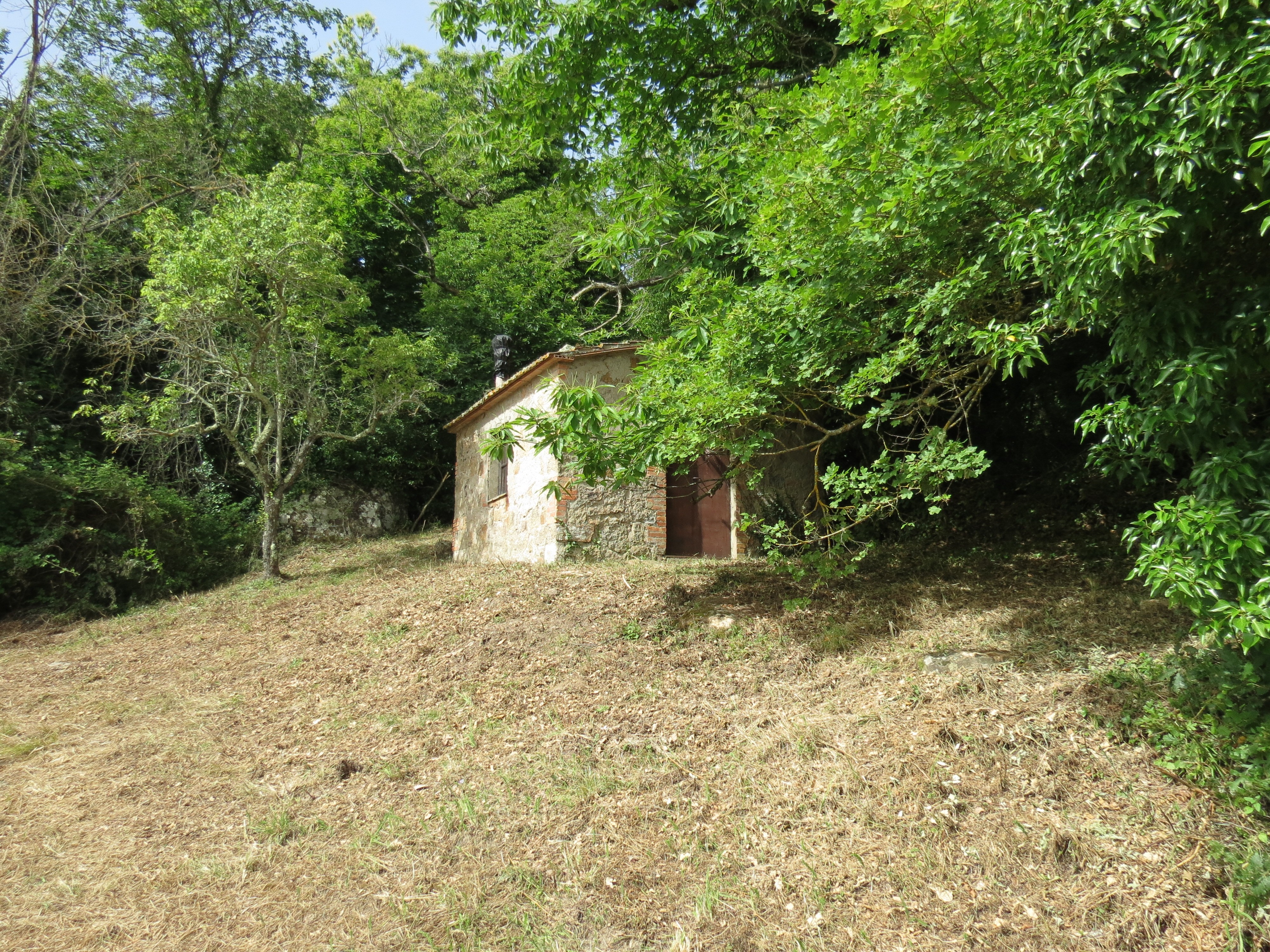 Casale Vista Provenza, Roccatederighi, Maremma Toscana