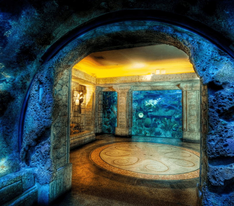 Explore over 2,000 aquatic animals and reptiles in 14 unique exhibits at shark reef aquarium at mandalay bay