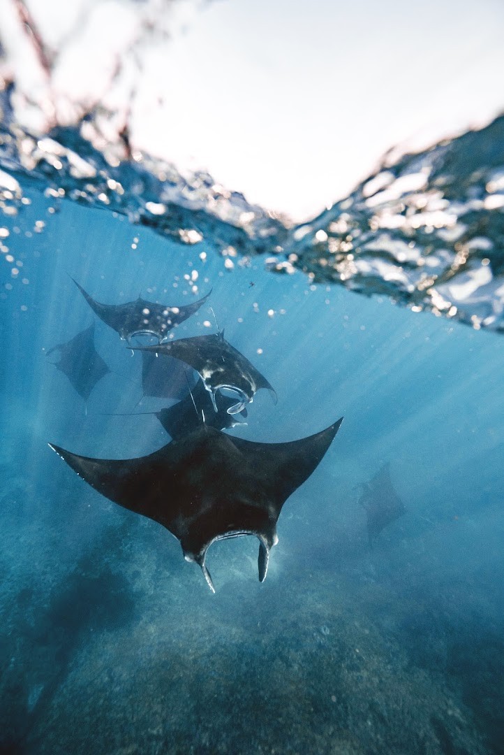 Legend Diving Komodo, Labuan Bajo