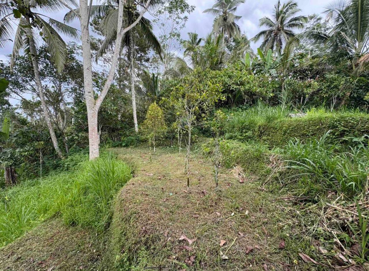 Land plot 4,000 m² in Buahan, Ubud area, Leasehold