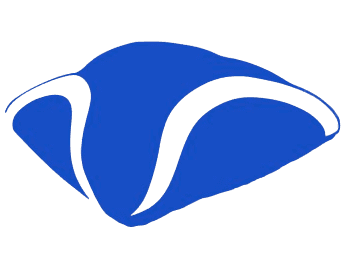 Haleum AI Logomark