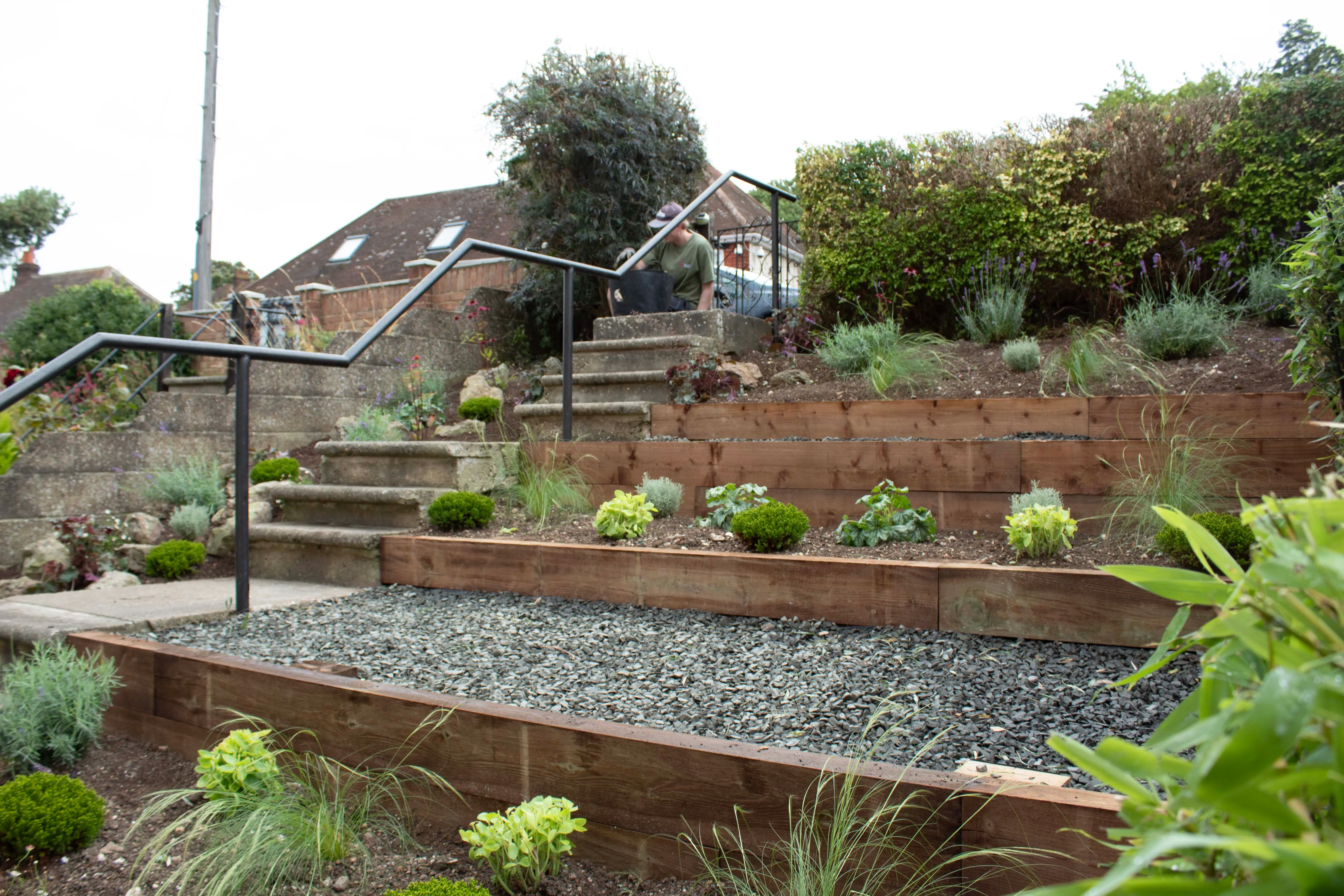 A terraced garden with various plants and greenery, set against a backdrop of buildings and trees.