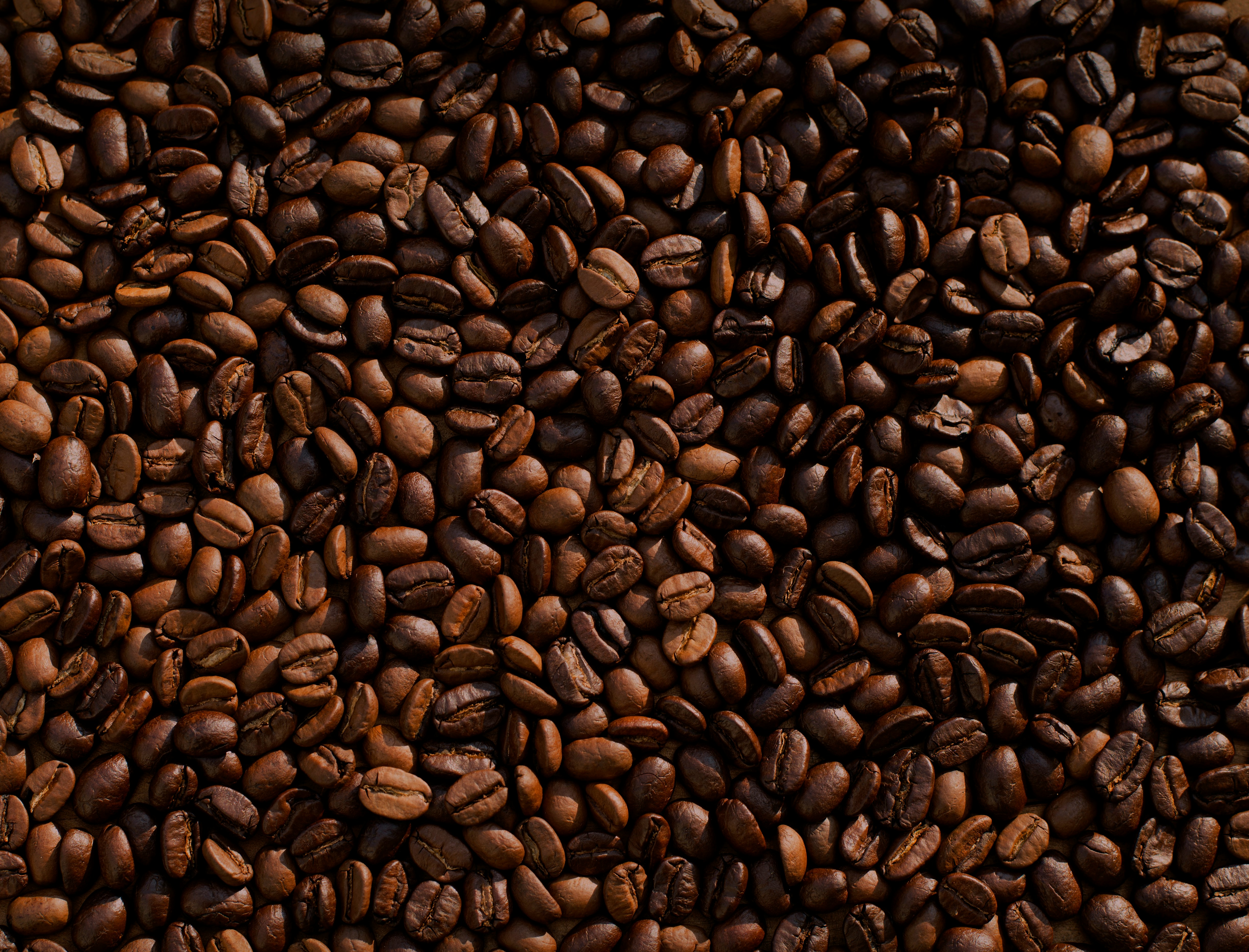 Red Coffee Cherries