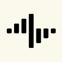 Subtle Voicebuds logo