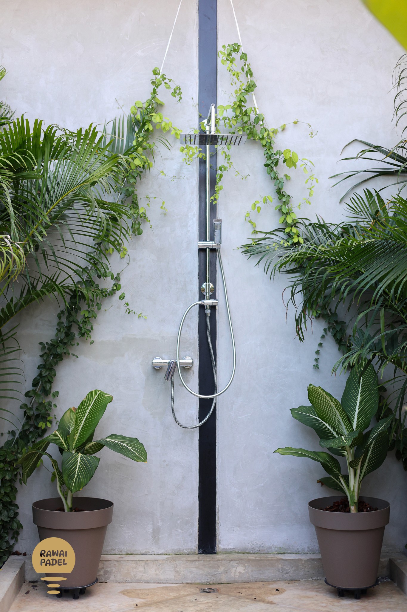 brown wooden door on blue and white floor tiles