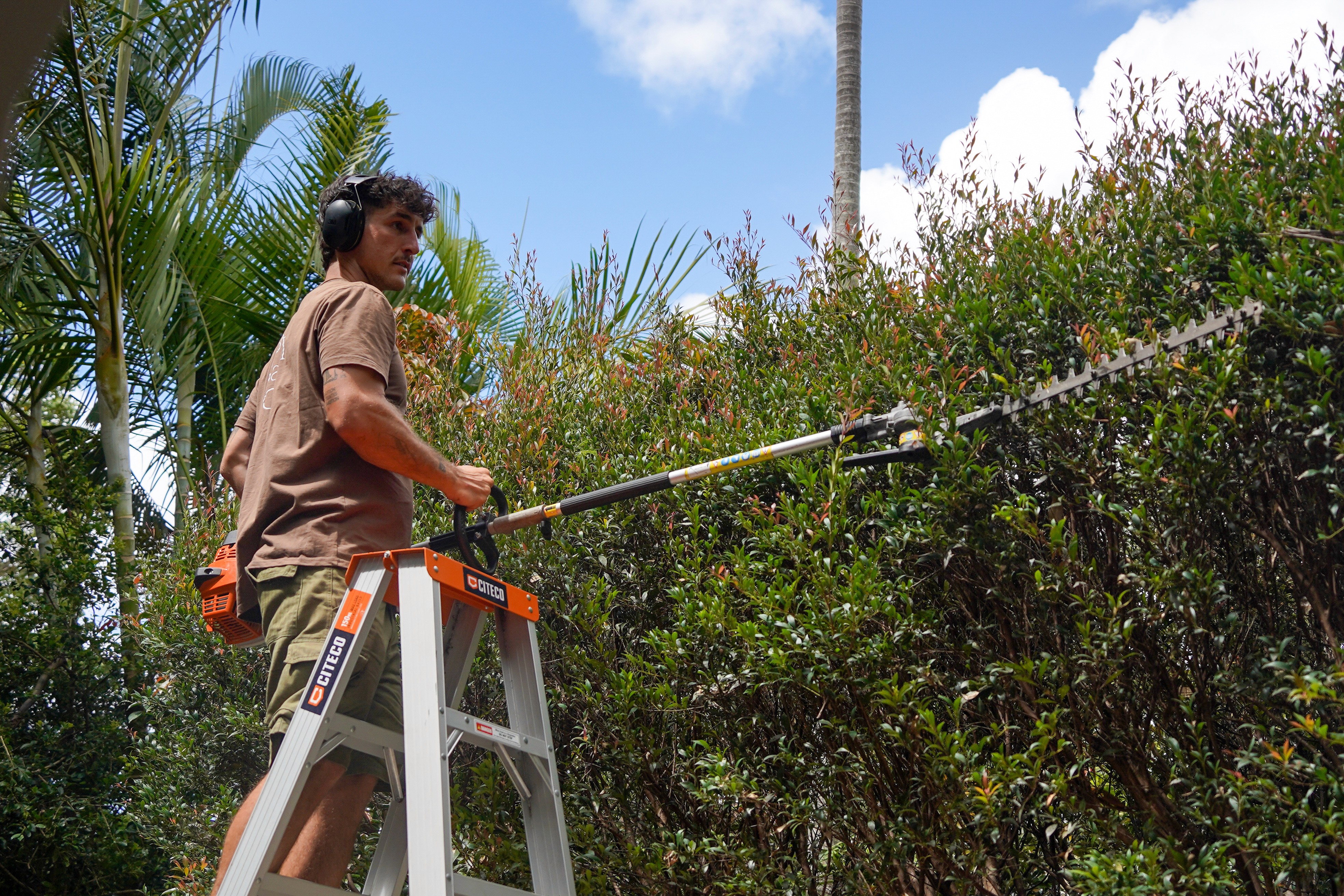 Hedge trimming in Byron Bay