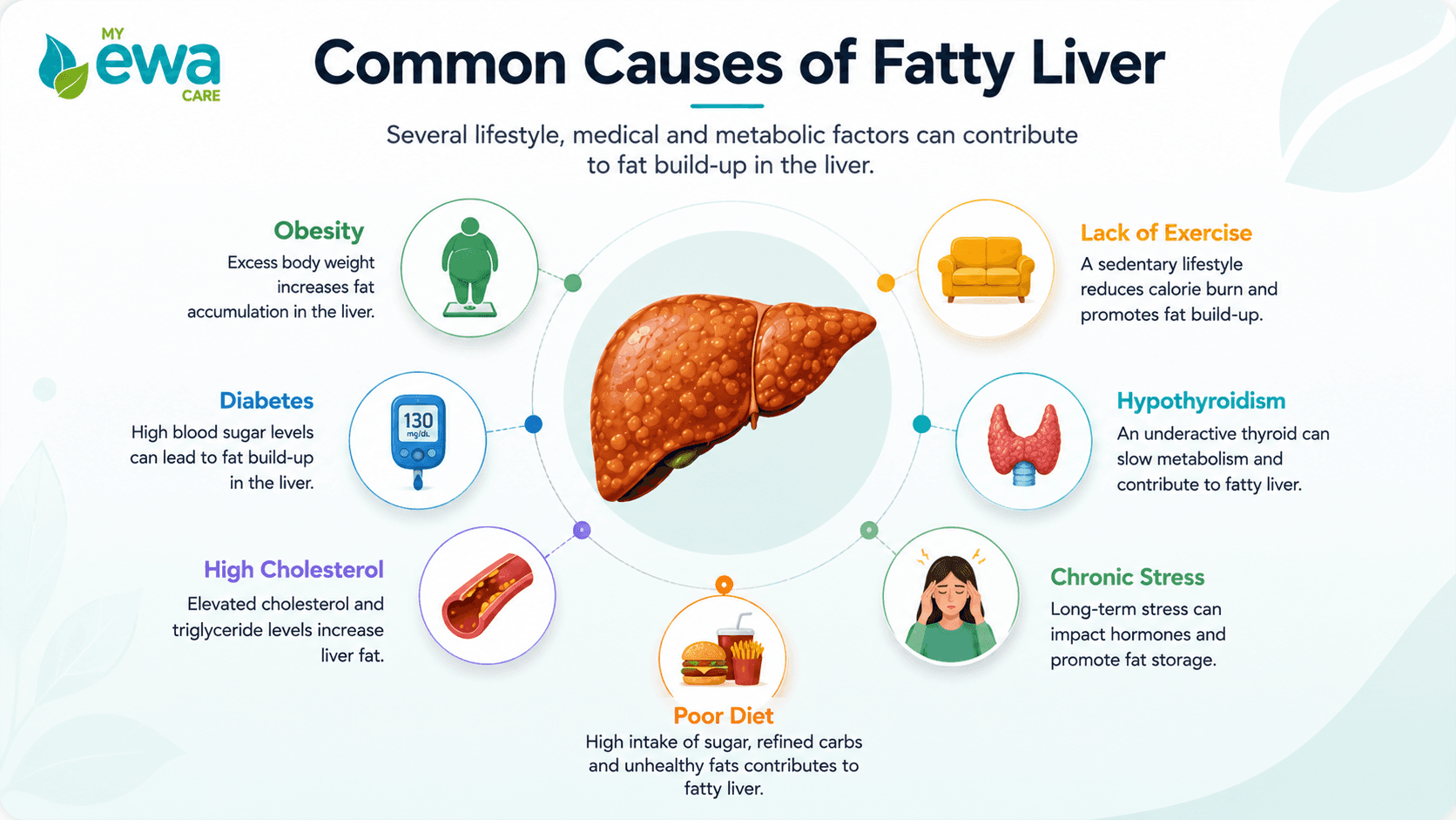 Common causes of fatty liver beyond alcohol&nbsp;