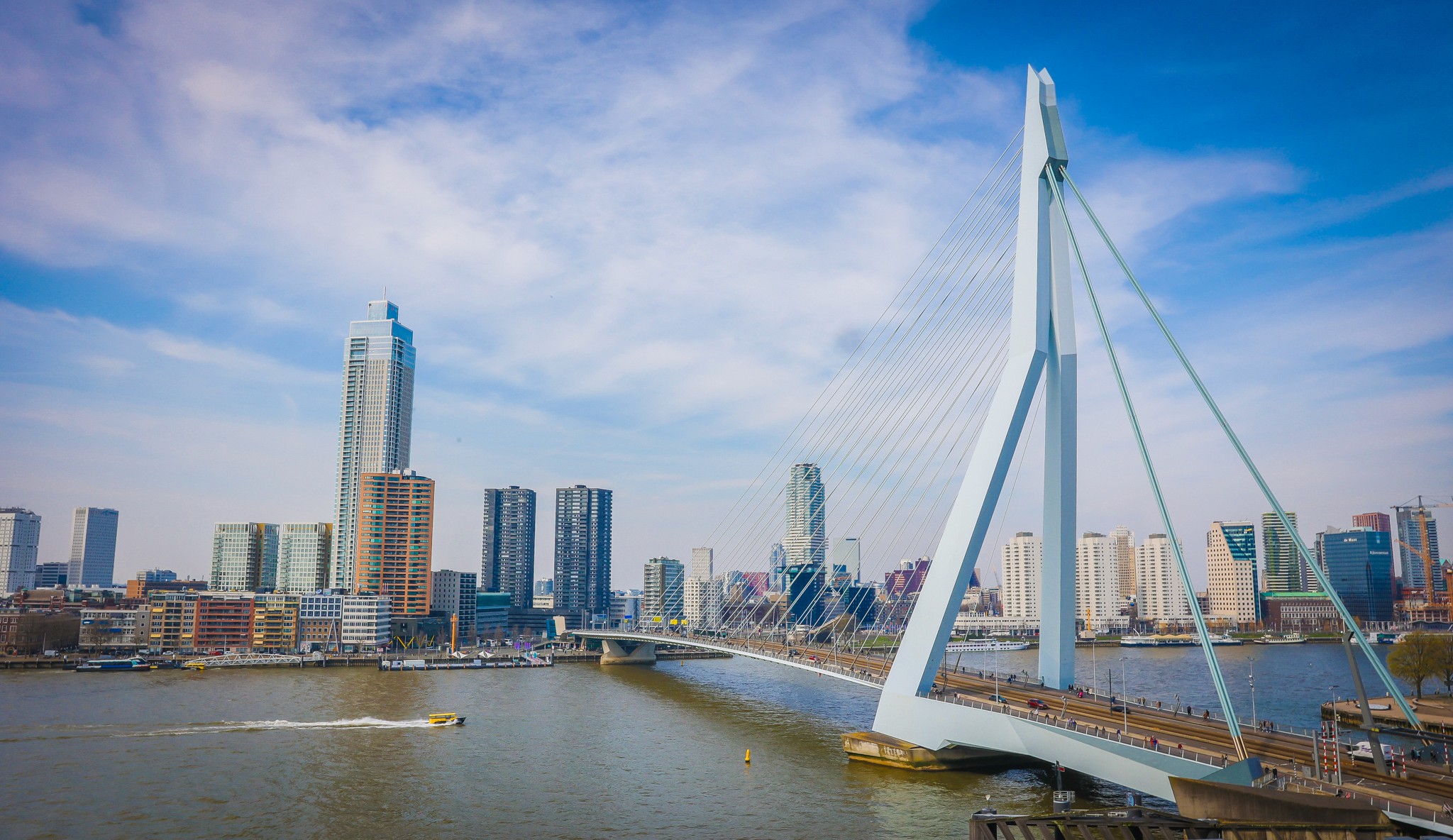 an image of the Orphio Dashboard