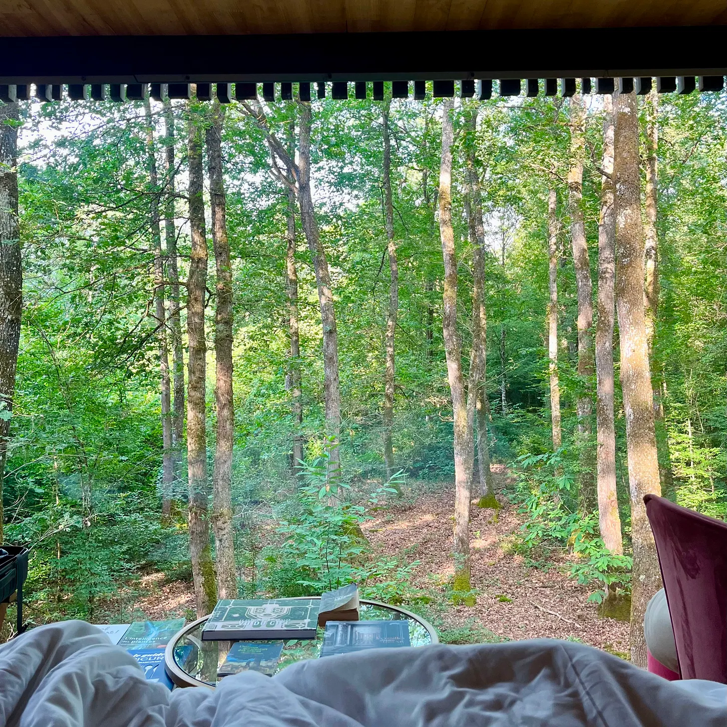A special treehouse in the forest (Loire Valley Lodges)