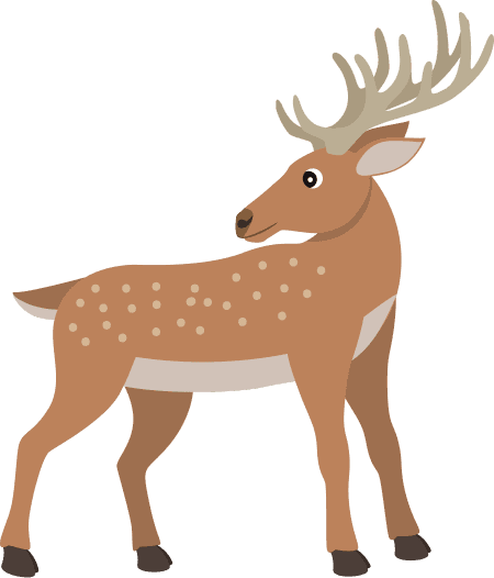 Deer 02