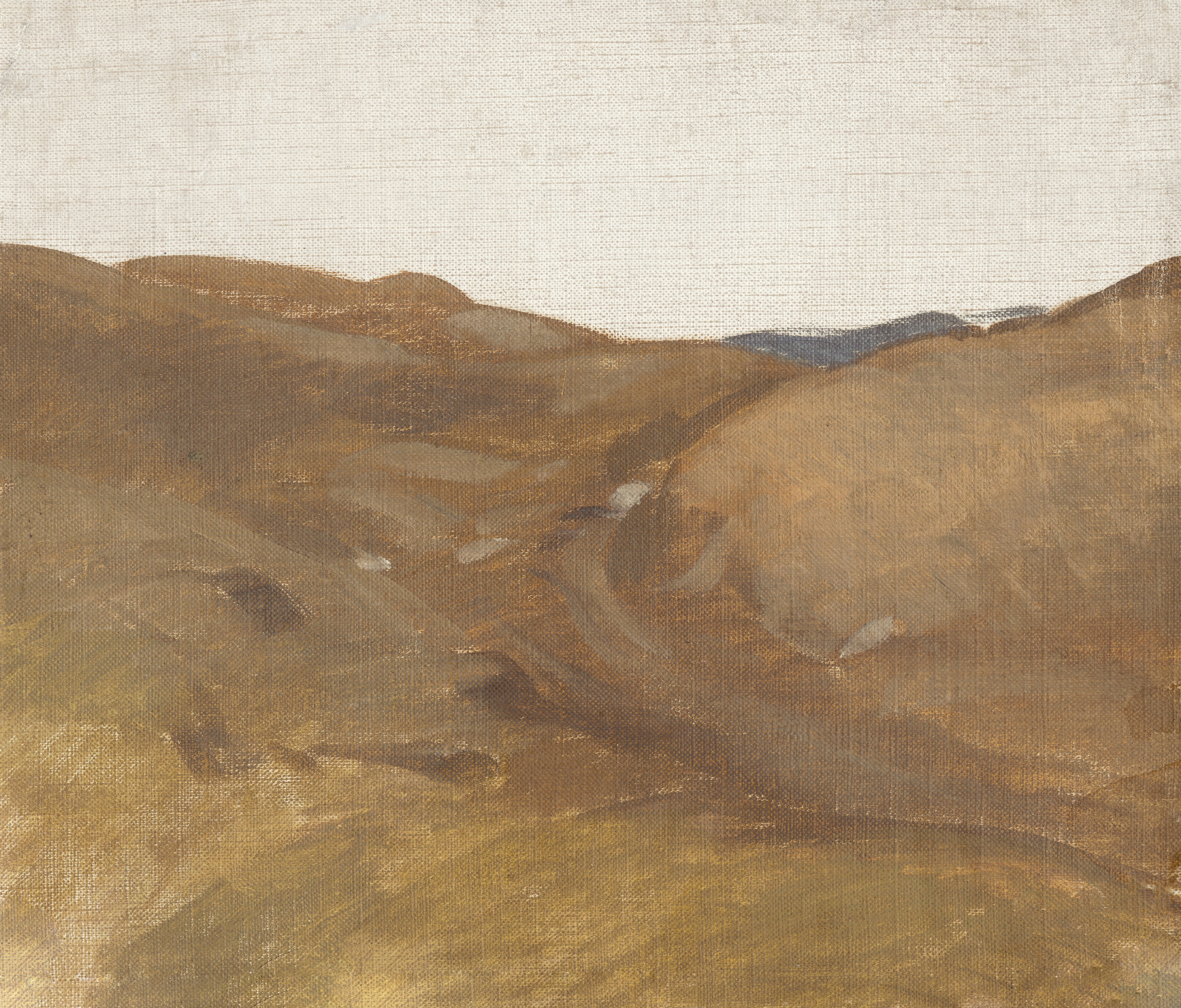 Rolling hills under a bright sky