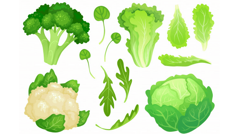 green leaves vegetables