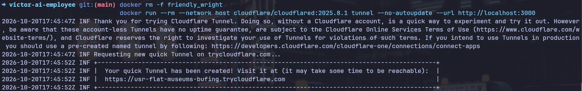 Cloudflare quick tunnel printing a public URL