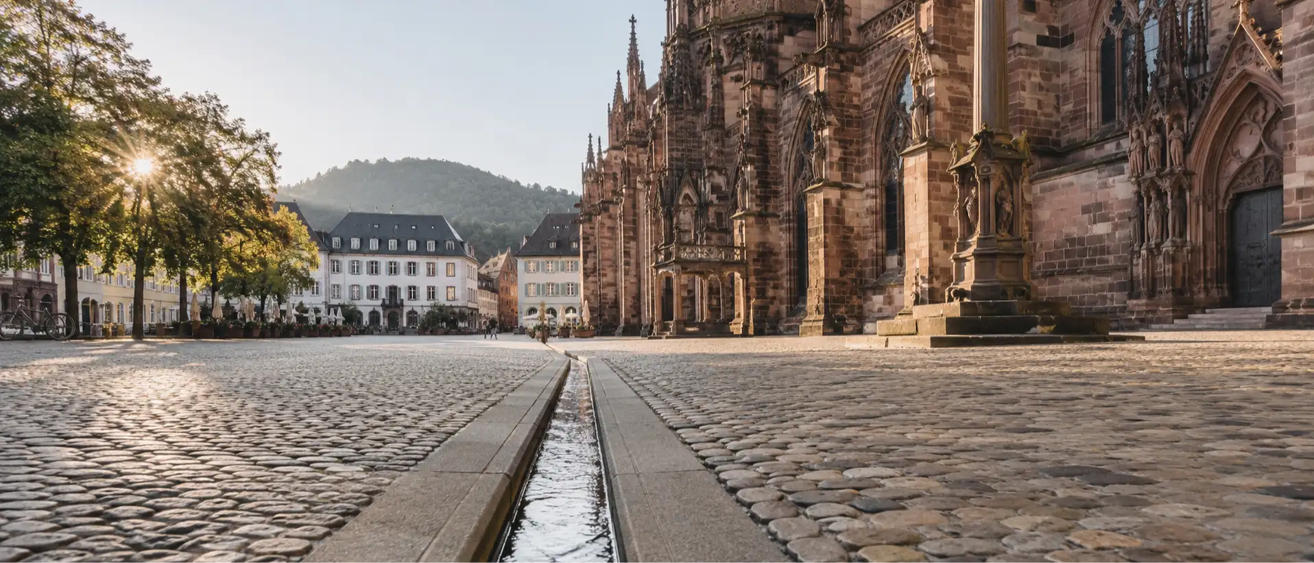 Freiburger Münster mit Altstadt vor Schwarzwald-Panorama, Symbolbild Pflegemarkt Freiburg