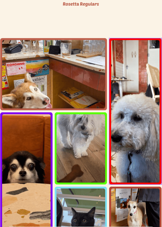 Image of coffee website with the dog collage.