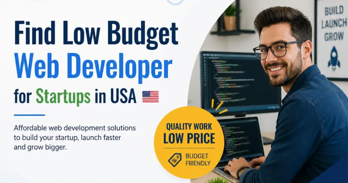 Find Low Budget Web Developer for Startups in USA