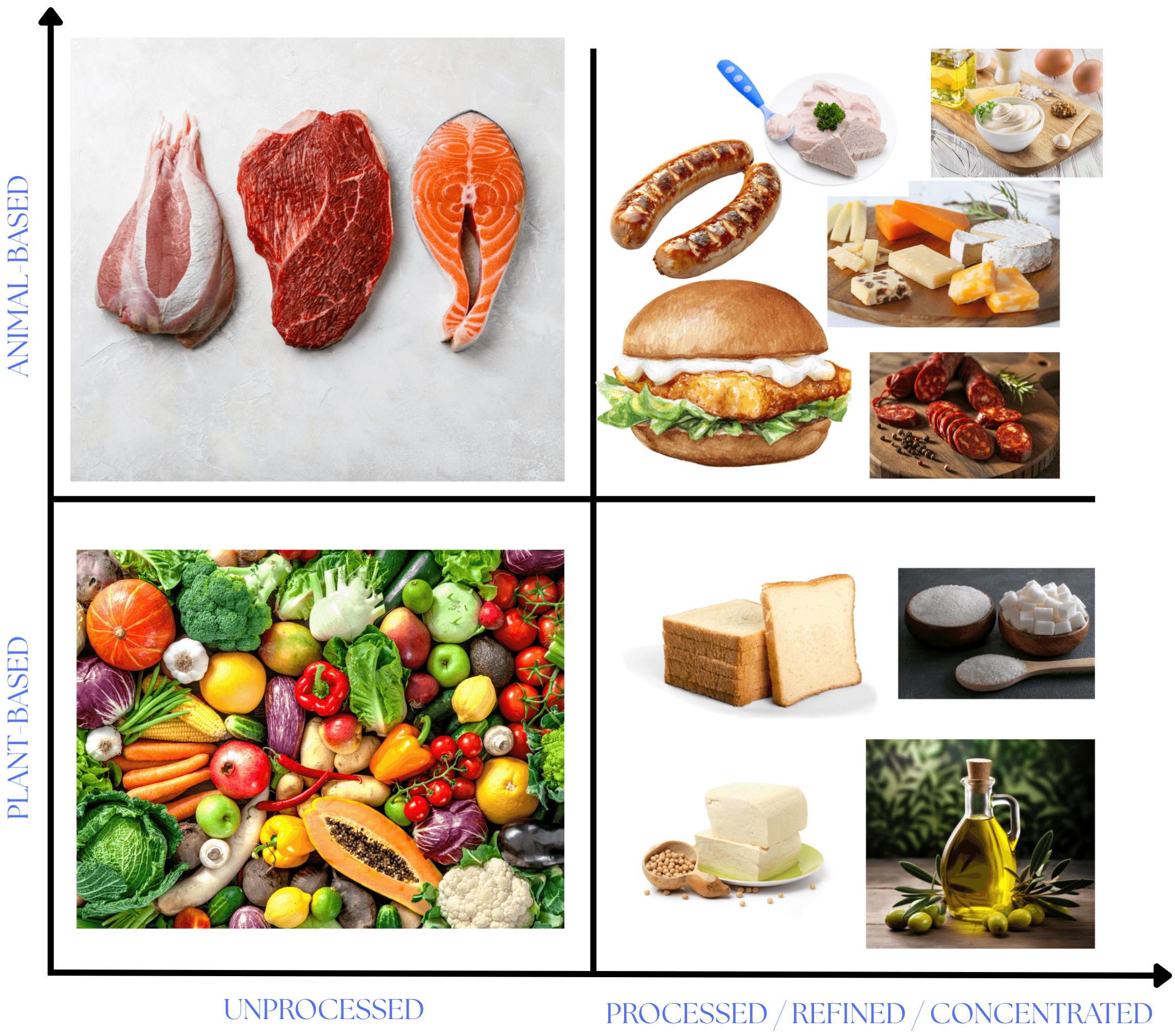 Our diet. Many thanks to Adam Marky, MD.