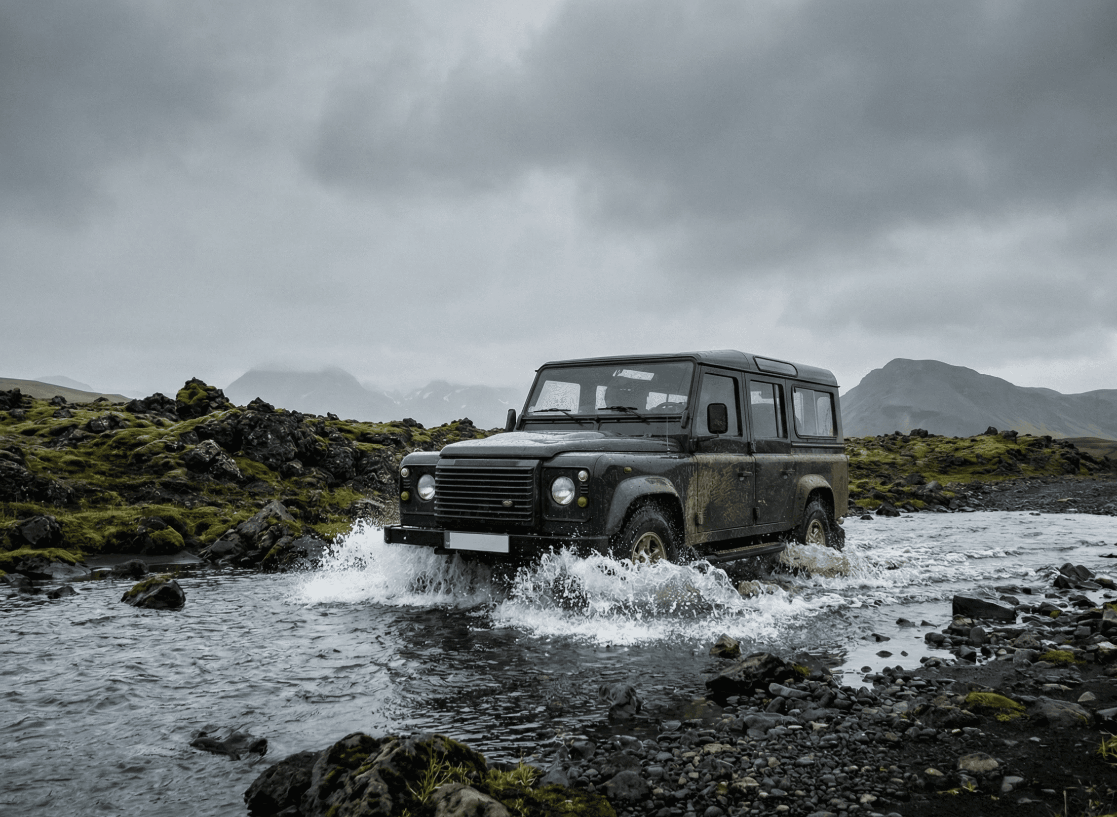 herd of white and brown donkeys on snow-covered land