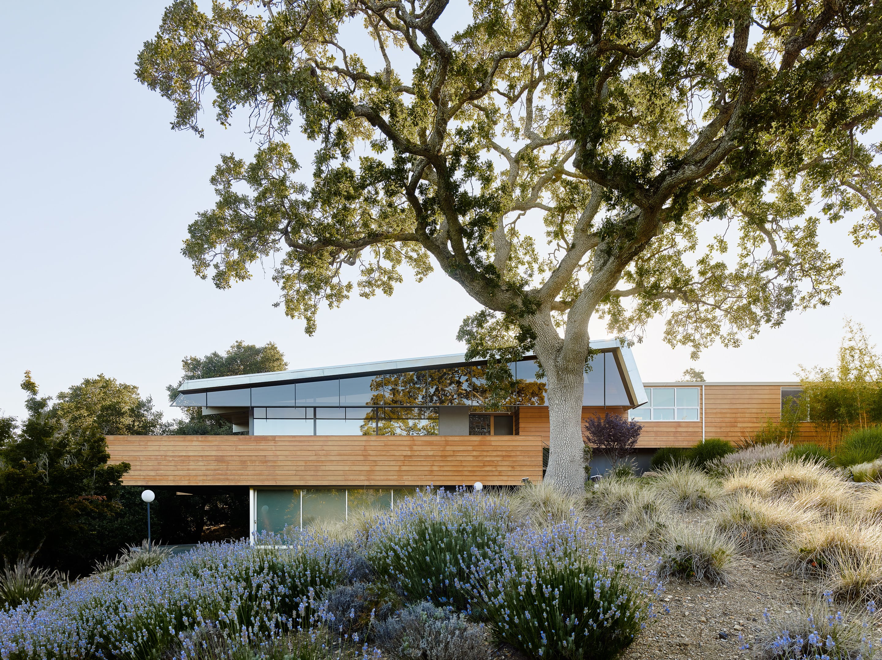 Bellevoire reception