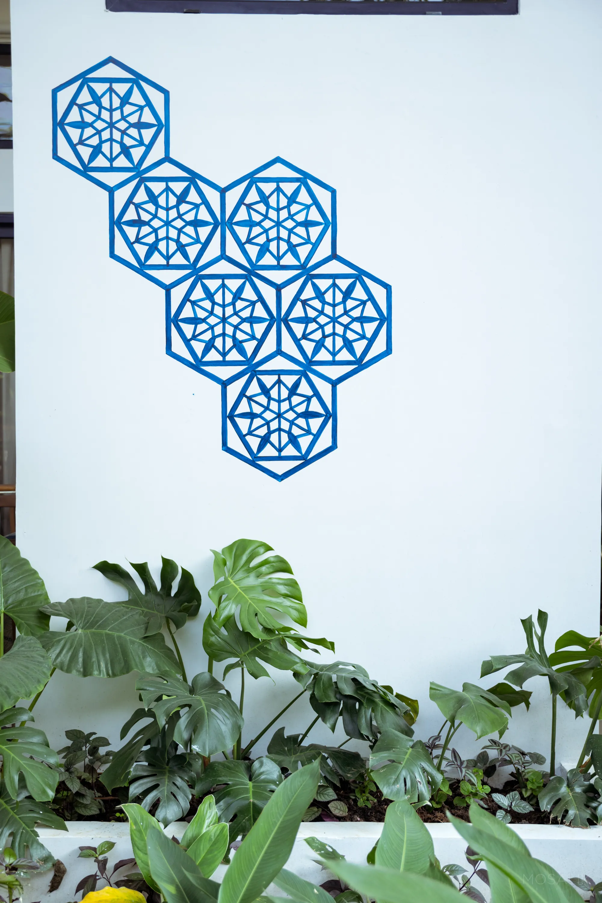 Blue jaali medallions above the courtyard greenery at Jaali Blue