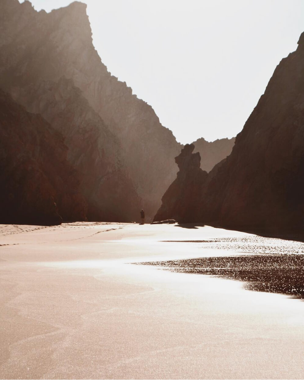 Tablet showing Bloomy UI