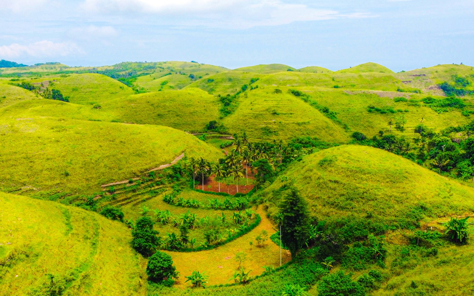 ทัศนียภาพที่งดงามของเนินเขาเขียวชอุ่มบนเกาะนูซา ปีนีดา ในระหว่างทัวร์ส่วนตัว