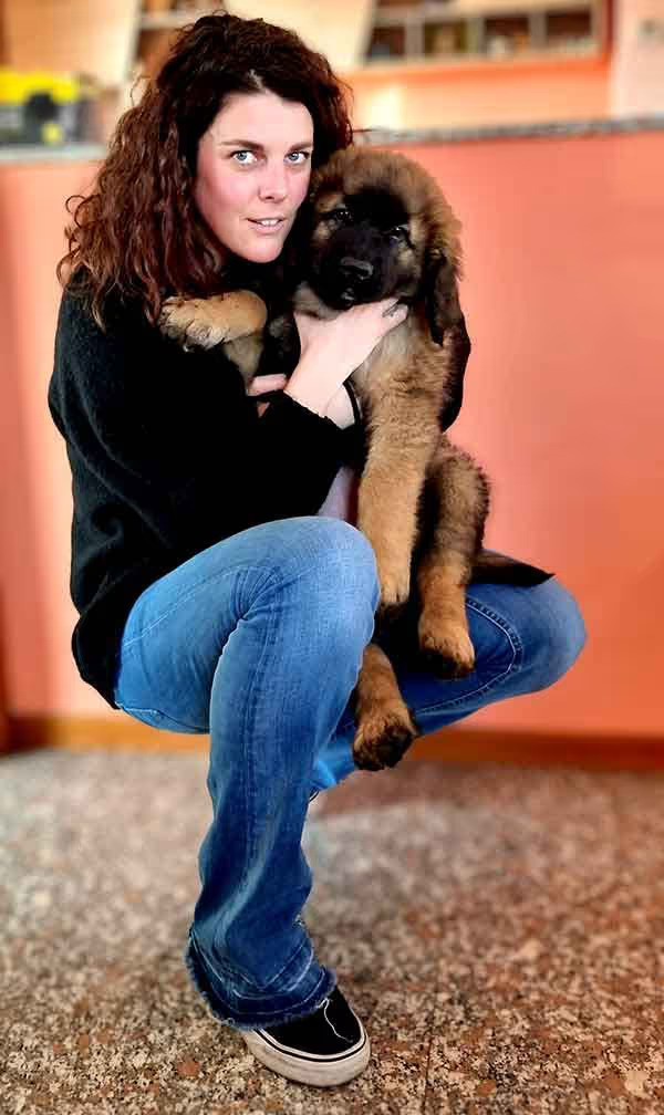 cucciolo leonberger